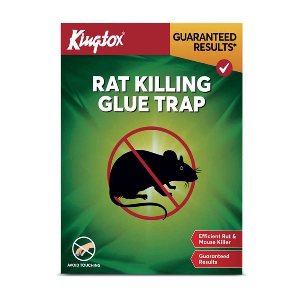 Kingtox Rat Killing Glue Trap