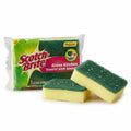 - Scotch Brite Sponge