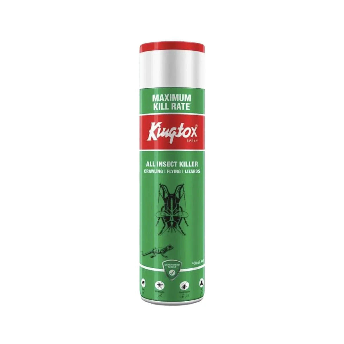 Kingtox All Insect Killer 300ML